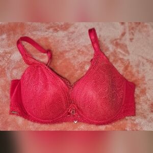 CHANTELLE RED LACE BRA SZ 36D BEAUTIFUL 😍